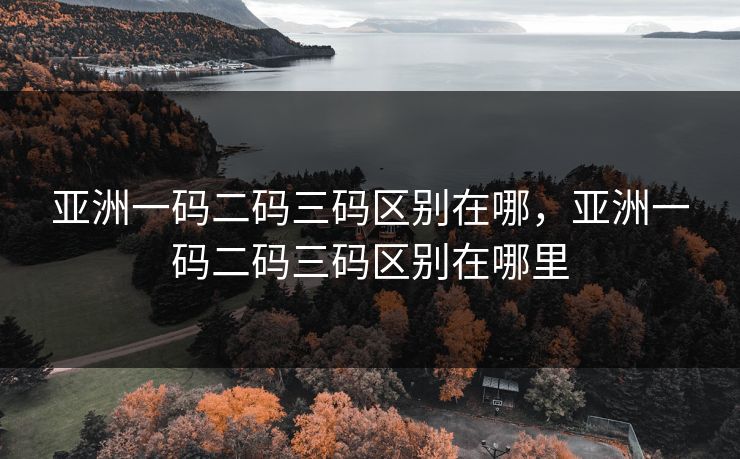 亚洲一码二码三码区别在哪，亚洲一码二码三码区别在哪里