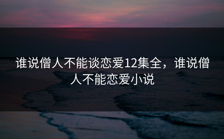 谁说僧人不能谈恋爱12集全，谁说僧人不能恋爱小说