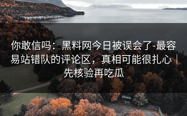 你敢信吗:黑料网今日被误会了-最容易站错队的评论区,真相可能很扎心|先核验再吃瓜