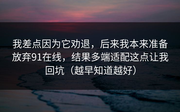 我差点因为它劝退,后来我本来准备放弃91在线,结果多端适配这点让我回坑(越早知道越好)