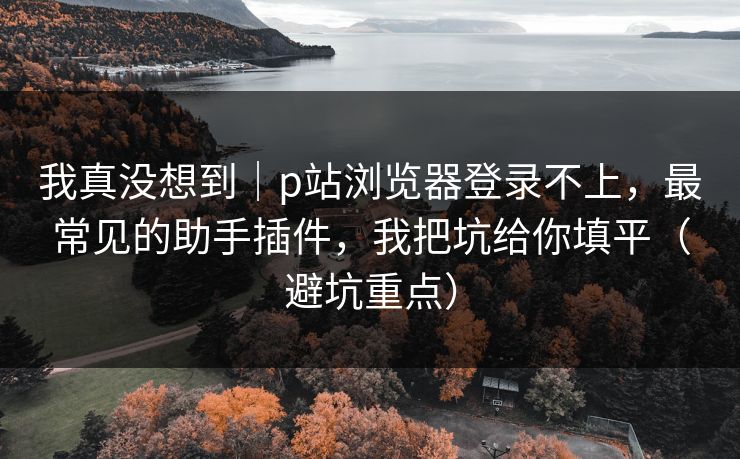 我真没想到|p站浏览器登录不上,最常见的助手插件,我把坑给你填平(避坑重点)
