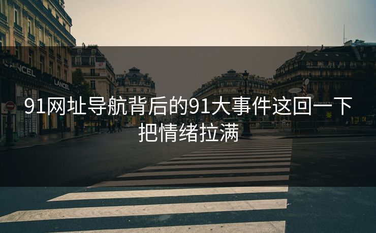 91网址导航背后的91大事件这回一下把情绪拉满